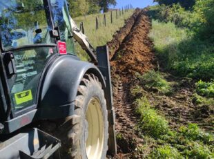 310741826_193573369789624_8616047451279999712_n