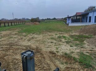 311568188_194782743002020_9076789073817748083_n