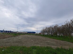 342647413_782372759779150_6573345967065087405_n