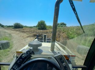 368841304_319170957229864_361774176759681756_n